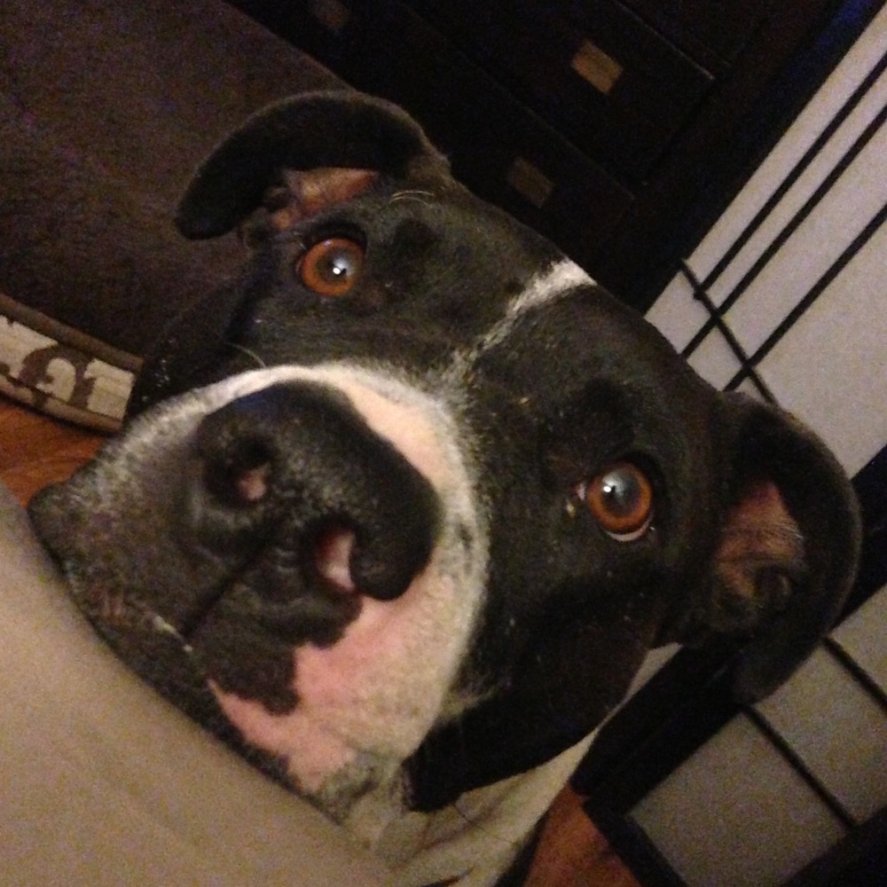 Meet your Posher, Ashleigh